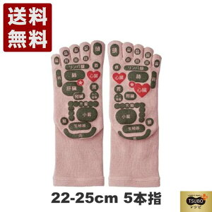 TSUBOVsPLUS ʑڃ\bNX 5{w^Cv 22cm-25cm 33032 sN (33032-PK) { j Mtg Z[ SALE v[g lC C  Y fB[X 