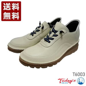 gDfCY[TODAY'S] SЂU[V[Y fB[X RtH[gV[Y T6003 AC{[ (T6003-IV) { j Mtg Z[ SALE v[g lC₷ ₷ y