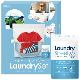 旅行 洗濯袋 洗剤セット どこでも洗濯 便利グッズ つけおきバッグ 洗濯グッズ 中性洗剤 手洗い 衣類用洗濯シート(Laundry sheet)付属 旅寝工房 tabine