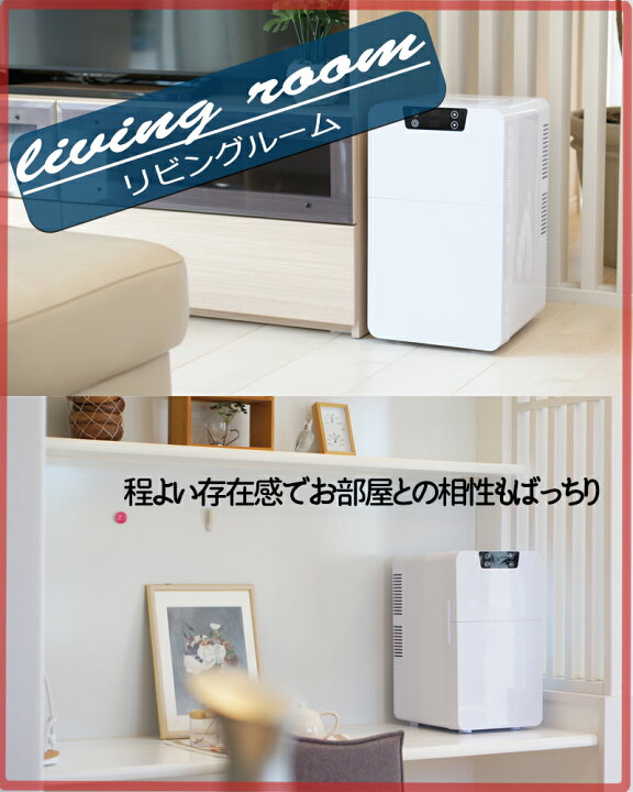 楽天市場】【27日までP3倍＋クーポン対象】2電源対応の2ドア冷温庫 20l 