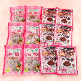 お歳暮　手土産 誕生日 赤城フーズ株式会社　老舗がつくる-梅ジェンヌ×ぐんまの甘梅 味わいセット