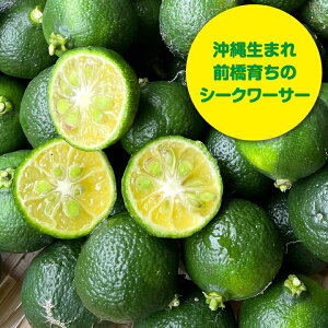 QnOY@xzt@[̃V[N[T[2kg