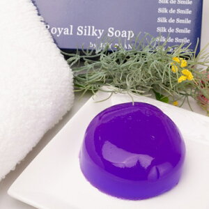 NX}Xv[g@NX}XMtg@VNfX}CiSilk de Smilej VNΌ [Y̍2+x_[̍1@3_Zbg  r jLr