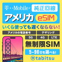 【T-Mobile純正品】 eSIM版 アメリカSIM 【使い放題】 5G/4G-LTE 高速データ通信/通話/SMS/テザリング 【アメリカ ハ…