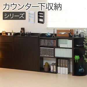 ő10,000~N[|JE^[[ ^  [  o Ƌ 80cm s22cm s20cm _CjOJE^[ THLB