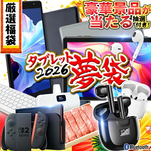 y  z^ubg  2026ymō؏ܕiI咊Iz 8C` 10C` 64GB 128GB 2026N { wi-fif SIMt[ Cz { oCobe[ Android Switch2 Ɠd ˋC