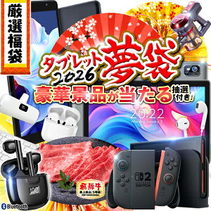 y  z^ubg  2026 lߍ킹ymō؏ܕiz 8C` 10C` 64GB 128GB 2026N { wi-fif SIMt[ Cz { oCobe[ Android Switch2 Ɠd ˋ