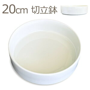 20cm ؗ  yw {  唫 傫 炵i M M  Ԋ   yw ۂ ~` ^ t[h{E ybg a  d { ۔ 傫   Vbv ̔ 