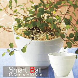 プランター 植木鉢陶器 白の人気商品 通販 価格比較 価格 Com