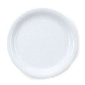 テクノライト 10”ディナー皿 ディナープレート 大皿（25.6cm） 白い食器 cafe カフェ 食器 おしゃれ オシャレ 業務用 日本製