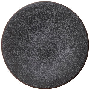 T[tFX 27cm fBi[ I cafe JtF H  IV Ɩp M {