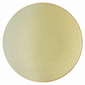 tBm f[CG[ 19.5cmv[g KOYO m m 13623006 H  킢  Ɩp H@Ή {