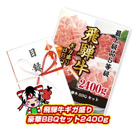 最高級A5等級飛騨牛 ギガ盛り豪華BBQセット2400g 2.4kg 焼肉 カルビ モモ ロース 牛肉 ギフト 特上 松坂牛 神戸牛 国産黒毛和牛 おいしい 贈り物 A3パネル 結婚式 二次会【T080】