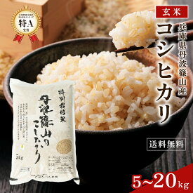 【マラソン5%OFFクーポン配布中】特A 特別栽培米【令和7年産 丹波篠山産 玄米】コシヒカリ こしひかり 5kg 10kg 15kg 20kg 30kg 大容量 特A 兵庫県 丹波篠山産 農薬5割減・化学肥料5割減 │ │ お米 米 コメ こしひかり 産地直送 農家直送 玄米
