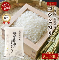楽天市場】米農家 コシヒカリの通販