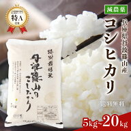 特A 特別栽培米【新米令和8年産 丹波篠山産 精米】 コシヒカリ こしひかり 精米 お試し3kg 5kg 10kg 15kg…