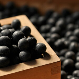 yzOgRY 嗱 哤 LTCY V 600g (300g×2܁jߘa7NY I Og    