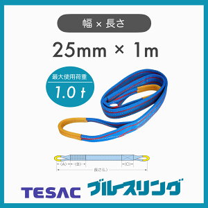 �y1�{�z TESAC �e�U�b�N �u���[�X�����O �X�����O�x���g JIS4���� 4E ��25mm×1m �ő�g�p�׏d1.0t