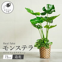 楽天市場】モンステラ フェイクの通販