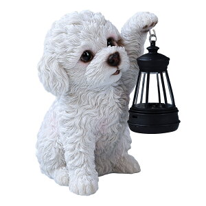 \[[Cg  IuWF I[ig K[fI[ig u K[fjO A Aj}  킢 ybg l`  E[rA woobia qo