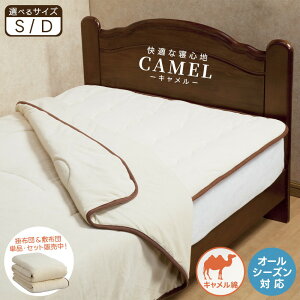 L 100% 炭 ~pbh |zc zc Zbg VO _u 唻 TCY Q ۉ xA ~zc ѕz V I[V[Y N_ K ~}bg CAMEL y y ʔN z  