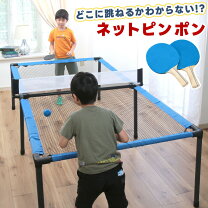 楽天市場】卓球 ネット（卓球台｜卓球）：スポーツ・アウトドアの通販