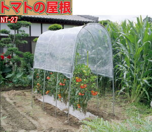hH g}g̉ NT-27 Yi iGC JV[g J悯 J V[g rj[nEX ƒp ^ rj[ g}g | ƒ؉ pCv _Ǝ ؍͔| 悯 h