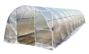 iGC glnEX]Zbg TOA2310OPTH hH rj[nEX rj[  K[fnEX K[fjOnEX ؉ | ƒ؉ J悯 悯 h h pi ƒp 