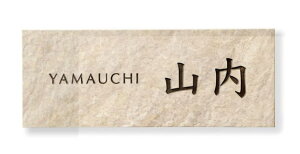 ZNtg Ă\D TGC-11 \D  킢