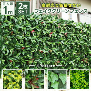 O[tFX 100×100cm 2Zbg  ډB A  _ tFCNO[ O[J[e t ڂ VF[h x_ O eX ϗtA GNXeA | K