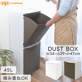 ArtPlast ゴミ箱 45L ラタン調 スタッキング ダストボックス キッチン リビング 引き出し収納 壁面収納 薄型 シンプル インテリア アートプラスト（あす楽