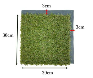 lH  diy 9Zbg ό99.8 A  Ő pl WCg}bg ^C s yOt h}bg GȂ hV[g K[fjOiy