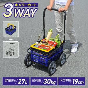 カゴ付き便利なキャリーカート  台車 折りたたみ 軽量 折り畳み台車キャリー 運搬車 カート 日用品 あす楽