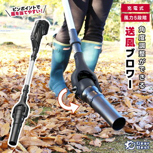 u[ R[hX y obe[ wbh̊pxo 5iK [d nfB ΂ |   y