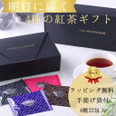 【クーポン配布中】紅茶 ギフト セット TEA MOTIVATION 22包入り 4種アソートセット 手提げ袋付き タチバナ産業 ホワイトデー 手土産 挨拶 プレゼント 内祝い 女性 高級 おしゃれ 茶葉 贈り物 ホワイトデー 母の日 送料無料 RSL
