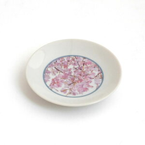 yyVC[OXӍՊԂP10{Izg A[g×g } M a10cm yPiz M M Z   H  { uh 