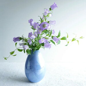 【お買い物マラソン期間はP10倍!】花瓶 花びん フラワーベース 花器 高さ23cm「 たち吉 清秀 花生 」花入れ 花さし 花生け 大きい シンプル 青 磁器 1個 九谷焼 おしゃれ 記念日 壺型 誕生日