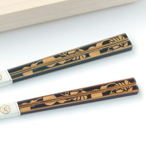 yX[p[SALEԂP10{Izvw  Zbg 23cm 21cmy2_Zbgzu g  vw v   yA ͂ nV h h蔢  邵 ˔  2V qp 킢 