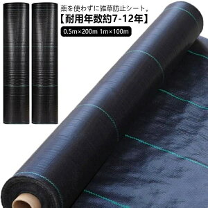 hV[g 1m×100m 0.5m×200m Gh~V[g ڂV[g G V[g c  xkc  ԏ rj[nEX l