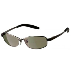 【全4レンズカラー】　パズデザイン　アストロ16　偏光サングラス　AST-16　【納期3〜11日】