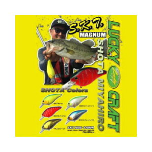 bL[NtgUSA@SKT}Oi110MR@SKT 110Mag MR@ySHOTAJ[z