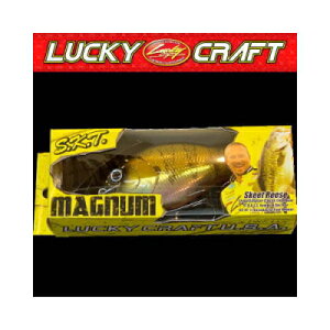 bL[NtgUSA@SKT}Oi110MR@SKT 110Mag MR