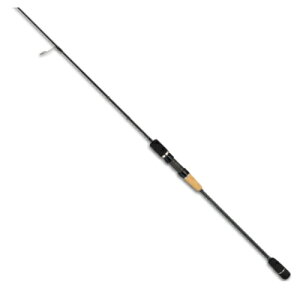 eCEH[N@TN}XWOSSD@S652@XsjOf@TN}XWMO@\eB[VFCv_bV@GCebN