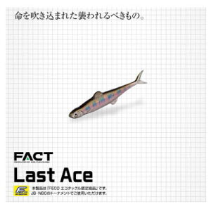 yS18J[z@Go[O[@XgG[X75@ylR|Xzz@EVERGREEN@LAST ACE