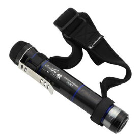 テイルウォーク　キャッチバー改　エクストラマイクロ　300　エイテック　玉の柄　タモの柄