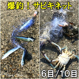 【送料無料】 TackleTime サビキネット サビキ 仕掛け カニ網 カニ釣り 投げ 投網 刺網 魚網 スペア 付替 魚 カニ 罠 トラップ 捕獲網 魚捕り 魚取り 釣れる 捕れる カニ捕り ワタリガニ ガザミ ヒラツメガ二 アジ サバ イワシ 小魚 防波堤 堤防 釣り 釣具 安い 格安