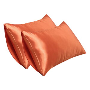 y2_Zbgz26FIׂ VN Jo[   48x74cm 50x70cm 43x63cm ێ  e  􂦂 s[P[X ܂Jo[ VN Jo[ Q s[Jo[ qɈS ÓdCh~ R