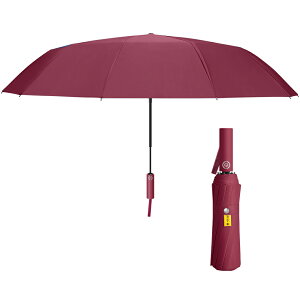 24{ ܂肽ݎP Y fB[X J ܂ݎP ^b` JP SՌ Jp P O UVJbg UPF50+ 傫 120cm  tP  ϋ jp [|[`t