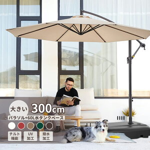 p\ K[fp\ ɋ ()a300cm x_ nMOp\ UVJbg  px _   p\ OEEoRj[EEbhfbL EJtFE