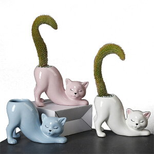 Aؔ ~jAؔ Z~bN t[|bg  픫 Av^[ T{e ԕrRei L ˂  킢 ̔L ꕔJE K[fjO  DIY i